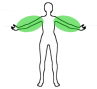 wax-arms.png