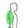 wax-back.png